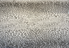 Leopard Skin Taupe Sunbrella Performance Ballard Upholstery Fabric By the yard
