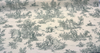 Green Pastoral Toile Drapery Upholstery Cotton Bashette Fabric