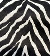 Jacquard Velvet Luxe Zebra Black White Heavy Upholstery Fabric By The Yard