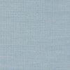 Exhale Dewdrop 400001-0003 Sunbrella light blue textured solid detail