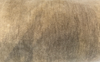 Fabricut Brown Sugar mohair velvet, 54 inches wide, sold by the yard