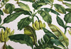 Jamaica Green White Banana Leaves Cotton Drapery Upholstery Fabric by the yard