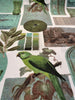 Aruba Green Birds Home Drapery Upholstery Fabric by the yard
