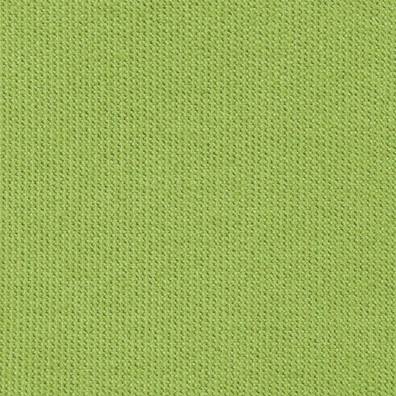 Sunbrella Canvas Green Ginkgo Outdoor 54'' Fabric