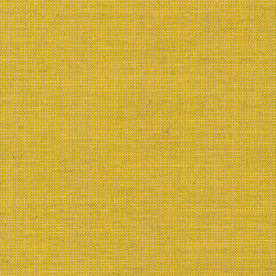 Sunbrella Cast Citrus Yellow Outdoor 54'' Canvas 48112-0000 Fabric