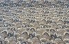 Upholstery Landscape Stark Pecan Graystone Chenille Tapestry Fabric By The Yard