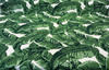 Sunbrella Tropics Jungle Green Outdoor 145214-0000 Upholstery Fabric