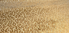 Leopard Caramel Jacquard Velvet Belgian Upholstery Fabric