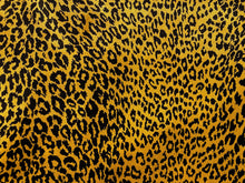  Jacquard Velvet Exotic Leopard Black Gold Heavy Upholstery Fabric By The Yard