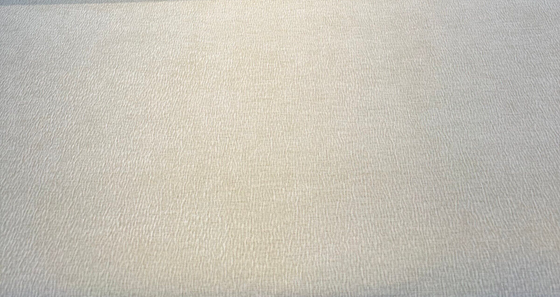 Serenity Beach Beige Textured Soft Chenille Upholstery Fabric
